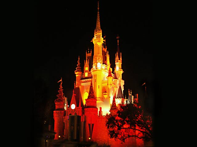 The magic kingdom castle at night